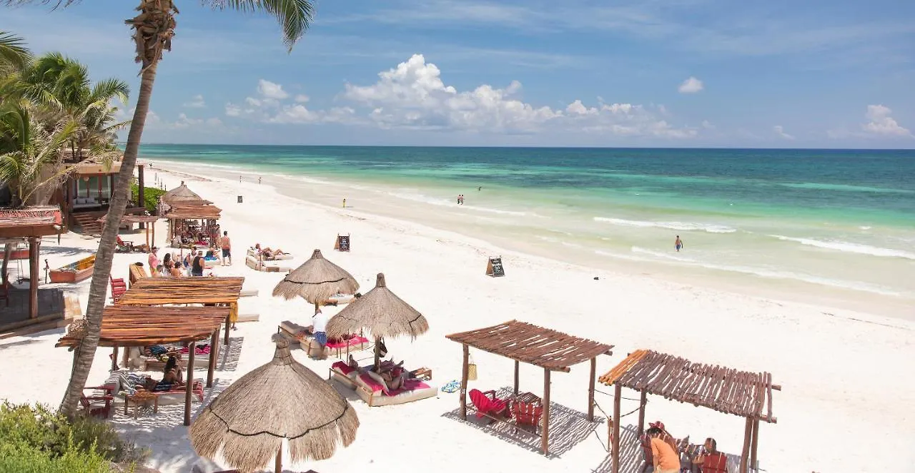 La Zebra Tulum, A Small Luxury Hotel  تولوم