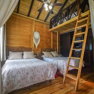 https://alicat-villas.quintano-roohotels.com